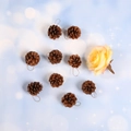Set di 9 pigne naturali con cordoncini dorati per decorazioni natalizie e lavoretti fai da te - Pigne naturali da 3-4 cm (9 pezzi/confezione)