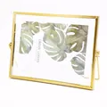 Nordic gold metal 5x7 horizontal photo frame with monstera leaf art print decor - 7-inch Horizontal Gold
