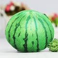 Cute plush watermelon coin purse with green stripes and top zipper closure - Watermelon