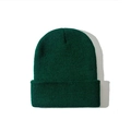 Donkergroene gebreide muts voor de herfst en winter, minimalistische stijl voor warmte - Eén maat / Donkergroen