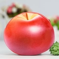 Cute apple shaped plush coin purse with realistic red gradient finish and zipper closure - Red Apple