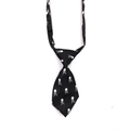 Halloween pet tie with white skull and crossbones print on black satin fabric - Black with Scattered White Skulls
