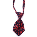 Pre-tied Halloween pet necktie featuring red skull patterns on a black satin background - Dense Red Skulls