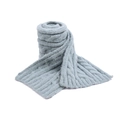 Detail of light blue knit scarf featuring thick cable stitch and soft wool texture - Mint Green (Scarf)
