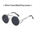 Gafas de sol redondas steampunk con montura de metal plateado y lentes grises oscuros - Marco Plateado Lente Gris Negro