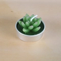 Realistic succulent shaped candle in green with purple tips in silver aluminum tealight holder - Purple-Brown Tipped Succulent Style (17)
