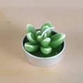 Green succulent-shaped decorative candle in a silver aluminum base holder - Echeveria Style Succulent (18)