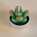 Realistic green succulent candle with red tips and round metal base for home decor - Green and Red Succulent Style (14)