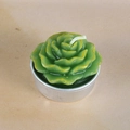 Green succulent shaped candle with yellow petal accents and silver metal base tray - Yellow-Tinted Green Petal (33)