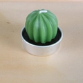Bougie succulente cactus vert foncé avec rainures verticales dans un support en métal - Style Cactus Nervuré (2)