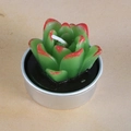 Realistic green succulent plant candle with red tips in a round silver metal base - Yellow and Green Succulent Style (22)