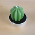 Bougie succulente en forme de cactus vert dans une boîte ronde en métal argenté - Style Cactus Sphérique (4)