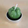 Lifelike green cactus succulent candle with white dots and silver aluminum holder - Light Green Dotted Cactus Style (20)