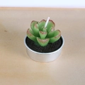 Bougie parfumée succulente verte en boîte argentée avec détails réalistes rouges - Style Succulente à Pointes Rouges (3)