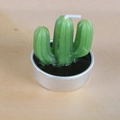Realistic cactus shaped candle in green with white wick and silver metal container - Textured Cactus Style (10)