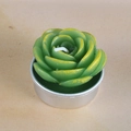 Green succulent-shaped candle in a silver aluminum holder with yellow detail accents - Yellow-Edged Petal Style (16)