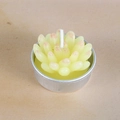Pale yellow succulent shaped candle with pink finish in silver aluminum tea light cup - Yellow-Red Gradient Succulent (35)