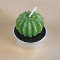 Deep green cactus shaped decorative candle with yellow dots in a silver metal base - Yellow Detailed Cactus Style (21)