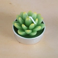 Green succulent plant candle with yellow tips in a round silver aluminum base - Yellow-Tinted Succulent Style (13)