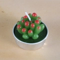 Green succulent wax candle with red leaf tips in a silver metal tray container - Red-Dotted Succulent (32)