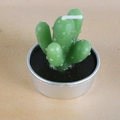 Green cactus shaped paraffin candle in a silver metal tin with black soil effect - Green Paraffin Cactus (31)