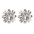 Elegant silver alloy floral stud earrings with sparkling rhinestones in a sunburst design - Clear White