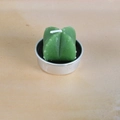 Green cactus shaped decorative candle in a silver aluminum holder for home decor - Bright Green Cactus Style (9)