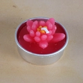 Pink lotus succulent candle in circular metal tin container with orange center detail - Pink and Orange Succulent (42)