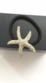 Silver starfish charm hair tie with black elastic band on display stand - Silver