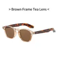 Gafas de sol retro con montura marrón y patillas de carey y lentes de color marrón - Montura Té Lente Té