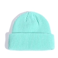 Short mint green knitted skull cap with a classic rolled cuff for autumn and winter warmth - Teal