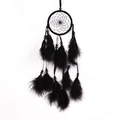 Handmade black dream catcher with feathers and beads on a clean white background - Standard Type / Black