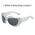 Lunettes de soleil de sport Y2K steampunk avec monture argentée et verres gris foncé unisexe - Monture Argent Verres Gris