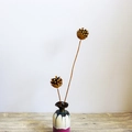 Vase en céramique à glaçure tricolore avec décoration de pommes de pin séchées - Branche de pomme de pin avec ensemble de vases en céramique émaillée