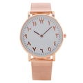 Rose gold quartz watch with white dial featuring Arabic numerals and Milanese mesh strap - Rose Gold