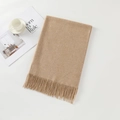 Thick beige faux cashmere scarf with tassels, neatly folded for autumn and winter warmth - Light Khaki