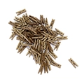 Macro shot of 2.5cm bronze color wooden mini pegs for photo decor and crafts - Electroplated Gold