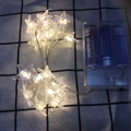 Close-up of star-shaped LED fairy lights with clear battery box and warm white glow - 1m 10-LED (2AA Battery Model) / 3D Star