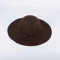 Top-down view of a brown wool felt wide brim hat with a classic vintage dome design - M (56-58cm) / Coffee