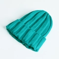 Classic knitted beanie hat in vibrant lake green color for kids and adults - One Size / Green