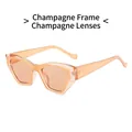 Occhiali da sole cat-eye champagne alla moda con montatura geometrica trasparente - Montatura Champagne Lenti Champagne