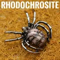 Vintage spider pendant brooch with natural oval rhodochrosite stone inlay - Rhodonite