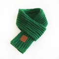 Green chunky knit scarf with premium brown leather label detail on white background - Green / 100-135