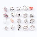 Detailed assortment of silver metal charms and colorful enamel pendants for DIY bracelets - Mixed Large Hole Beads No.3 / 20 Pieces Set