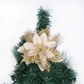 Champagnergoldene Glitzer-Weihnachtssternblüte auf grünem Weihnachtsbaumzweig - Gold
