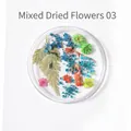 Mixed set 03 of colorful dried flowers for nail art and DIY resin crafts in a clear tray - 3# Mixed Dried Flowers