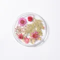 Nail art dried flower mix 06 with pink daisy and green leaves in round tray - 6# Mixed Dried Flowers
