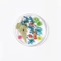 Mixed dried flowers set style 11 for nail art with pink blue and orange petals - 11# Mixed Dried Flowers