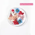 Mixed dried flowers set 10 for nail art decoration with colorful petals in a round box - 10# Mixed Dried Flowers