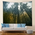 Detailed view of forest tapestry with sunlight beams hanging over a cozy living room sofa - 73X95CM (Brushed Fabric) / Ancient Forest Tree and Magnificent Beam (GT100022)